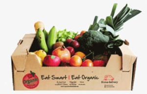 Box Mixed Fruit And Vegetable Large - Tangerine #2531580