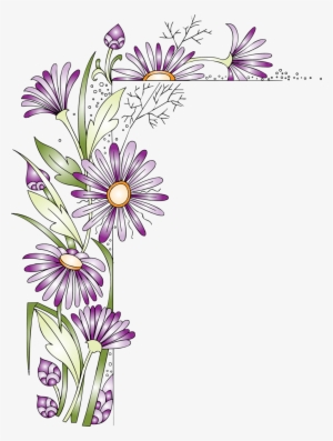 Purple Flower Border - African Daisy #2533928