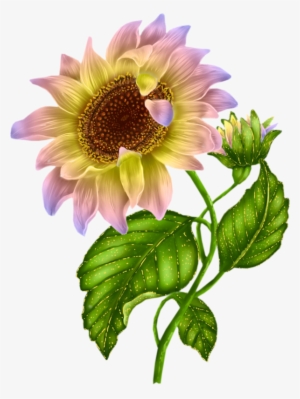 Free Free 270 Clipart Sunflower Png Transparent SVG PNG EPS DXF File