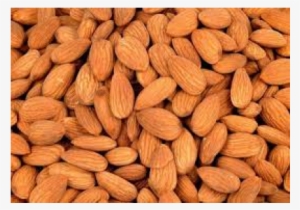 Best Quality Almond Nuts #2536043