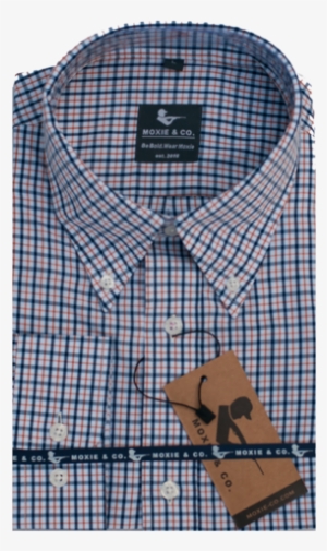 Auburn - Vatican Museums #2536220