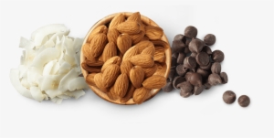 Ingredients - Ingredient #2536310