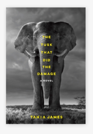 Kerala Elephant Png #2537141