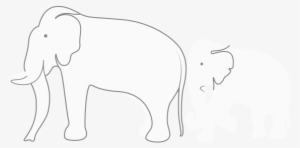 Indian Elephant #2537318