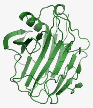 File - 1nlrribbon - Cellulase: Production, Applications And Health Benefits #2537591