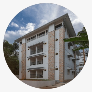 Cloves Thekkady #2537627