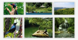 Gavi - Tourist Place In Kerala Gavi #2537658