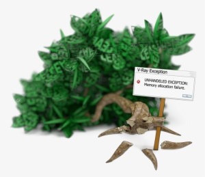 Clipart Tree Molave - V-ray #2537766