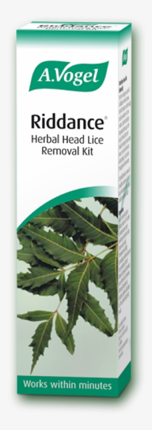 Detection, Treatment And Removal Of Head Lice - Medicine For Lice In India #2537956