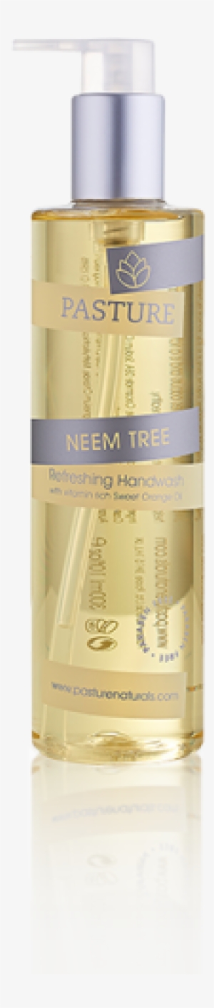 Neem Tree #2538218
