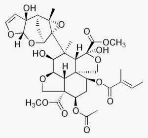 Azadirachtin - Neem Oil Structure #2538271