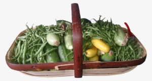 Salad Ways Basket - Green Bean #2539220