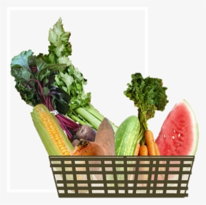 All Our Eggs Are In Too Few Baskets #2539273