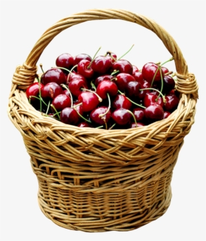 Tubes Fruits - Картины На Стену На Прозрачном Фоне #2539337