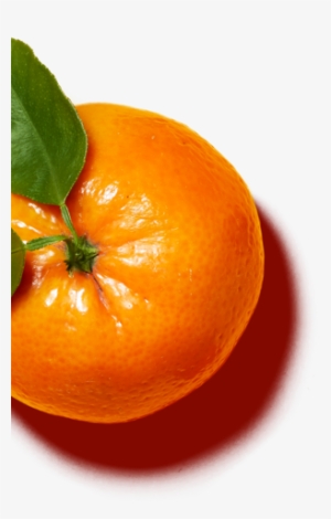 This Toner Features Olehenriksen's Green Fusion Complex™, - Rangpur #2539891