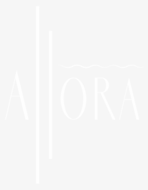 Grand Opening Tuesday 2/13/18 - Twitter White Icon Png #2540785