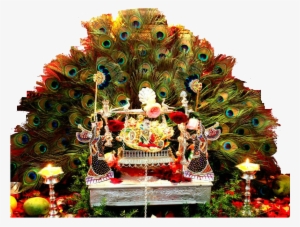 Ladoo Gopal Ji Sewa As Per Temple Standard - Ladoo Gopal Mandir Decoration #2540888