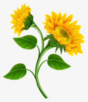 1 - Sunflower Clip Art Flowers #2540927