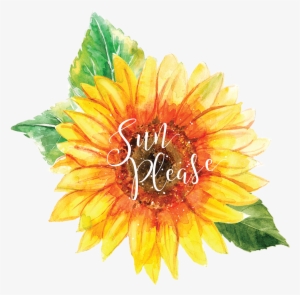 Sun Please - Sunflower #2541048