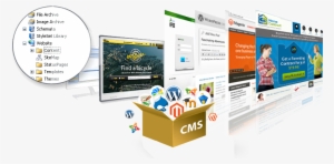 Misha Infotech Delivers Comprehensive, Seo Friendly - Cms Web Design #2541160