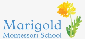 Marigold Montessori School A High Quality Early Childhood - Crocus #2541520