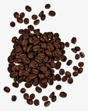 Coffee Beans - Coffee #2541542