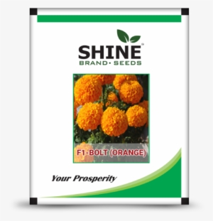 Hybrid Marigold Seeds - Marigold Pack #2541687