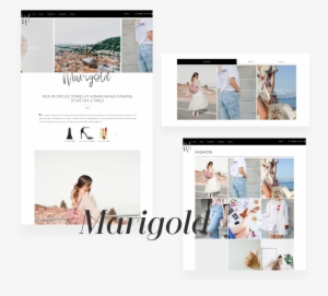 Marigold-wordpress - Collage #2541716