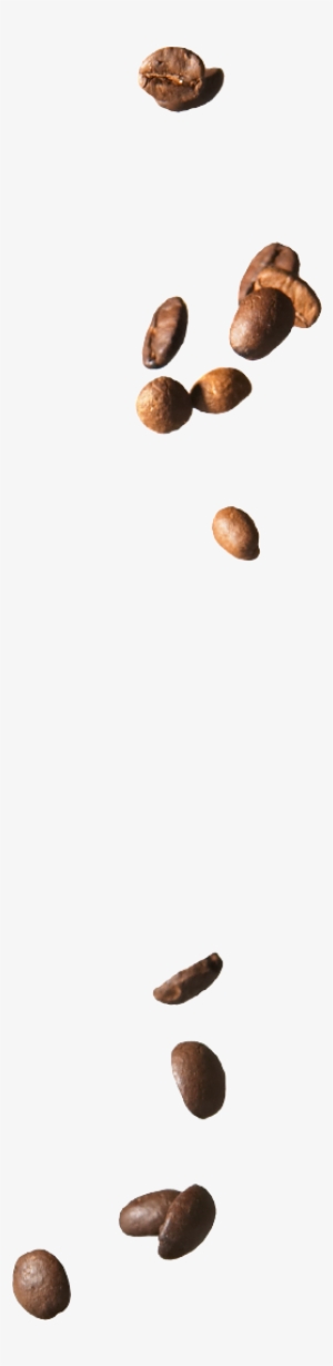 Falling Coffee Beans #2541831