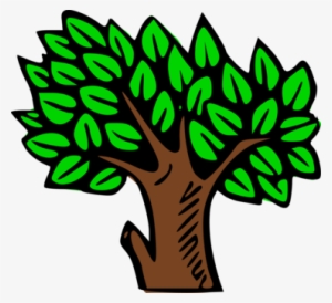 Forest Tree Liberty Baptist Church Online Community #2542330