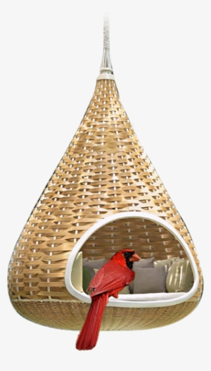 All The Good Things We Build - Northern Cardinal #2542601