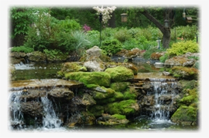 Waterfalls And Ponds - Gardens Of Rice Creek #2543571