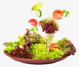 Slide - Eisberg Dressing #2544917