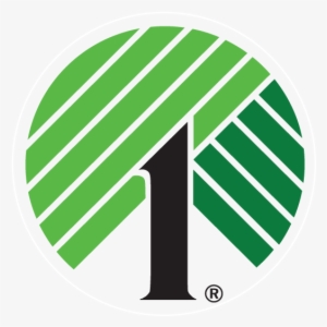 Dollar Tree Logo Png - Dollar Tree #2545973