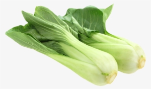 Fresh Bok Choy Png Image - Bok Choy Png #2546534