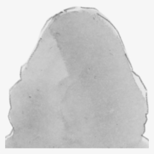 Donna Gusman - 1975 - 2015 - " - Igneous Rock #2546614