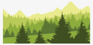 Enchanted Forest Daycare - Forest Transparent #2546857