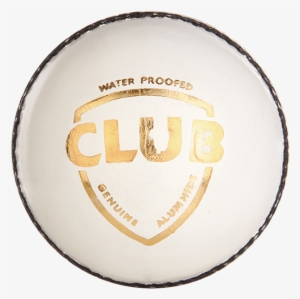 White Cricket Ball - Sg Club Cricket Season Ball, White #2547392