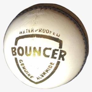 Cricket #2547437