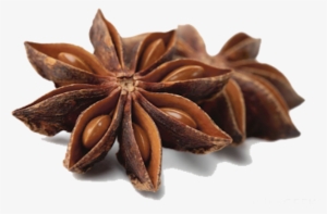 Star Anise Seeds - Анис Png #2547460
