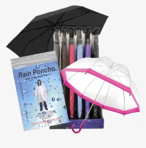 Eta March** Drizzles Umbrellas - Dome Transparent #2547738