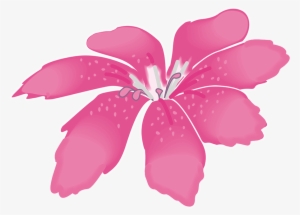This Graphics Is Big Pink Flower About Big Flower - بک گراند عکس عروسی #2548142