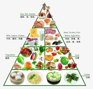Dietary Supplement Nutrition Healthy - Healthy Food Pyramid Png #2548336