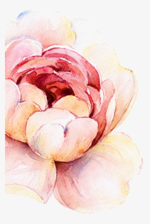 Beginning - Japanese Camellia #2549032