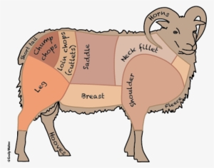 Meat - Ram Meat #2549139