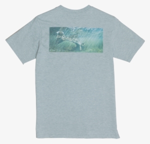Product Image 1 - Tree #2549193