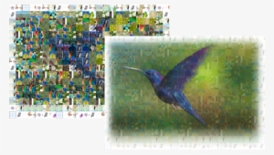 This Box Lets You Specify To What Extent To Blend The - Hummingbird #2549561