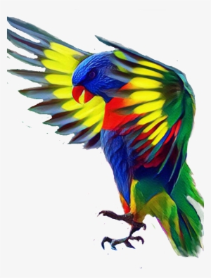 Report Abuse - Bird #2549672