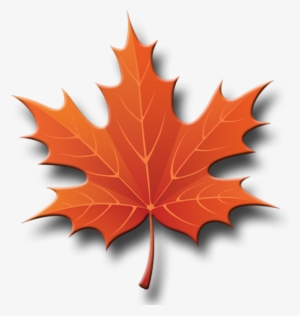 Jkll - Maple Leaf Tree Clip Art #2549773