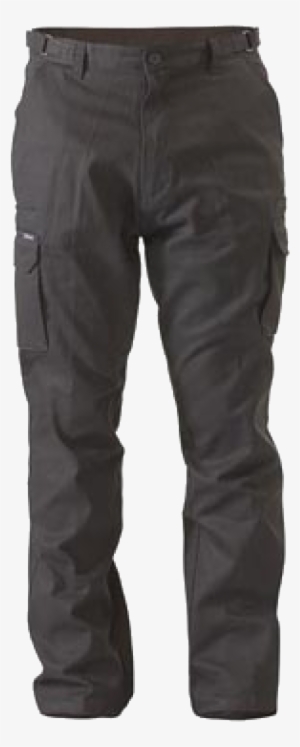 Cargo Pant Resolution - Waterproof Trousers For Men #2549901
